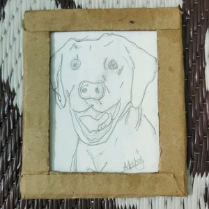 Sketch Of Golden Retriever Dog