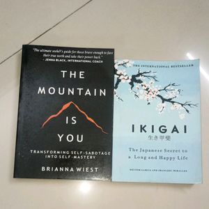 Ikigai And The Mountain Is You