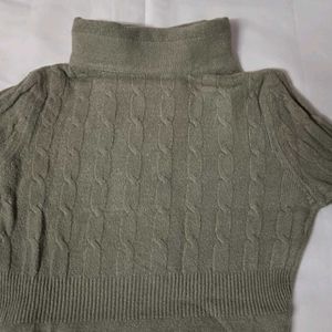 Turtle Neck Woolen Top