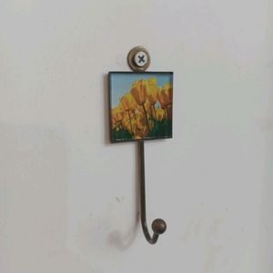 Designer Wall Hooks