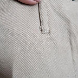 Beige Formal Pants