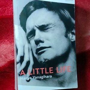 [PRICEDROP] A Little Life Book (BRAND NEW)