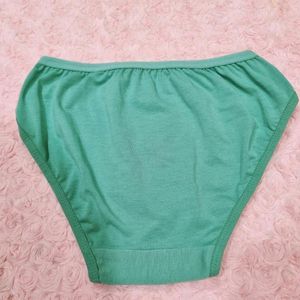 Sea Green Panty (Used)