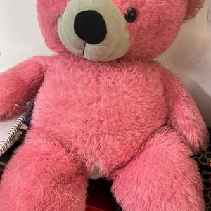 Big Pink Teddy Bear 🧸