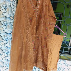 Sadabahar Organza Suit Pakistani