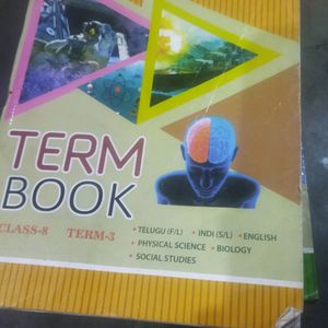 8th Class All Three Term Books