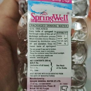 Springwell Water Bottle 250 ML