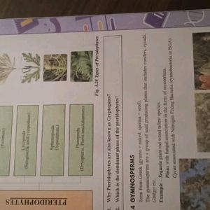 Biology Help Book