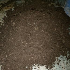 Home Made Compost For Plants