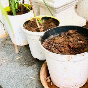 Set of 3 white plastic plant pots