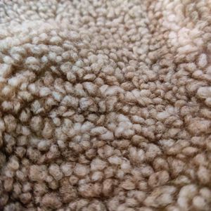 Price Drop - Fur Warm Jacket