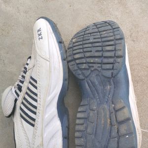 ZEKKER BRAND SHOE