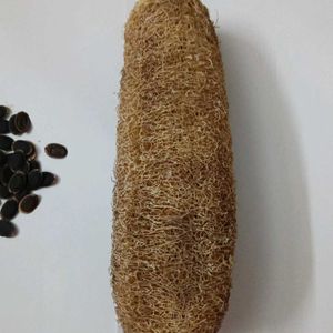 Sponge Gourd Seeds