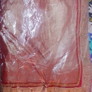 Beautiful Sari