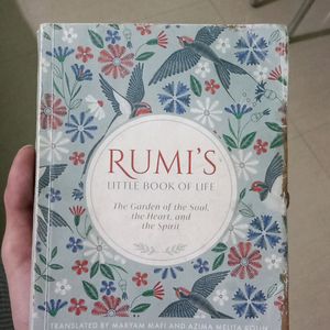 Rumi's Little Book Of Life