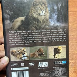 Original Animal Planet Big Cats DVD