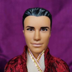 Indian Ken Doll