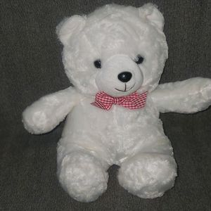 White Teddy Bear