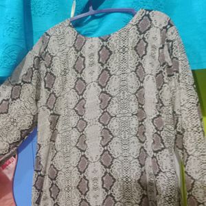 Combo Of 2 Kurta