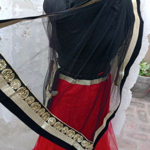 Net Lehnga Choli