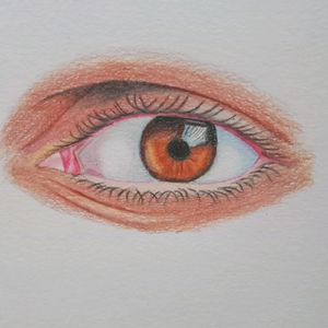 Colour Pencil Drawing