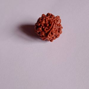 RUDRAKSHA DIKSHA KIT