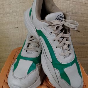 Men Colour Blocked Sneaker Beige & Green