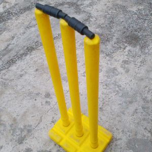Cricket 🏏 stump