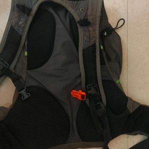 Decathlon Quechua Original Runners Bag