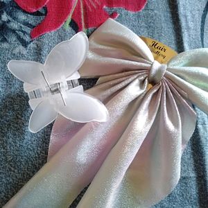 Hair Clips For Women ( Combo)