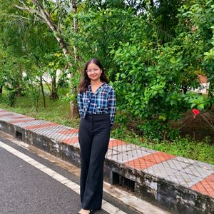 Sheer Material Office Wearing Top