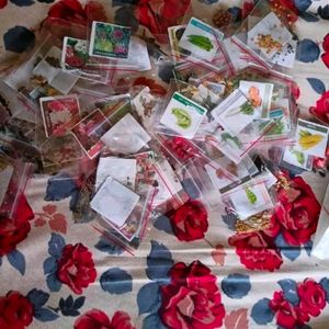 45 Types Of Vegetables Seeds
