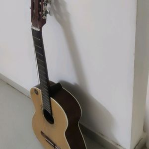 Hobner Guitar