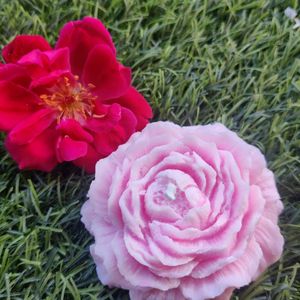 Peony Candle (Set Of 2)