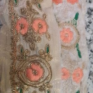 Beautiful Saree Lace