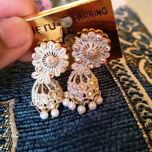 Beautiful Shining Metal Earrings