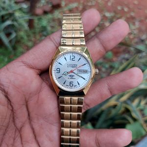 Gold Citizen Franken Fully Automatic Watch For Men