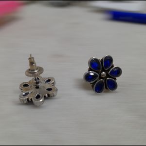 Silver Black Mate Polish Earrings