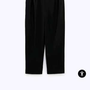 Zara Striped Pleated Pant