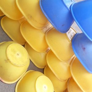 Soup Bowls (17)Yellow 💛 Blue 💙 Colour