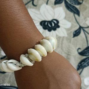 Beautiful Coweis Shell Bracelet