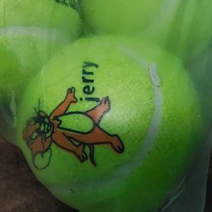 Cricket/Tennis Ball Set Of 4