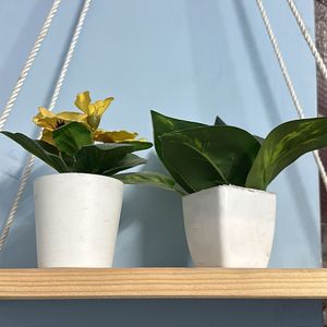 Wooden Macrame Hanging Shelf With Ikea Plants