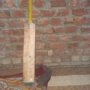 I Am Selling My Cricket Bat