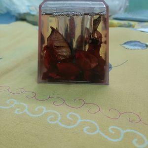 Pen Stand With Dried Rose Petals