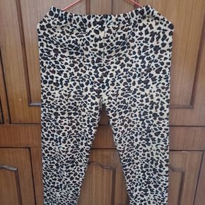 Totally New Beautiful Woolen Tiger Print Jegging