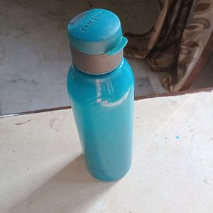 Bottle