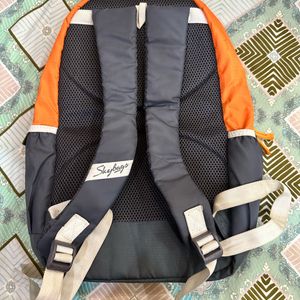 Grey Orange Skybags Bagpack