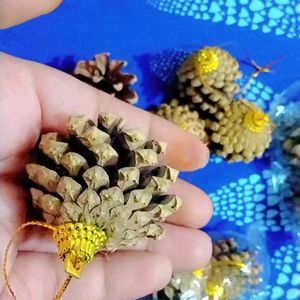 Natural Pinecones Pistachio Pine Cones Ornaments