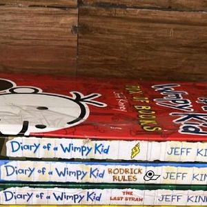 Wimpy Kid 3 Books